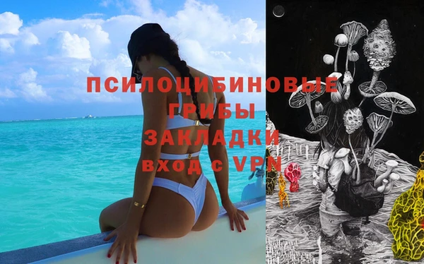 дживик Переславль-Залесский