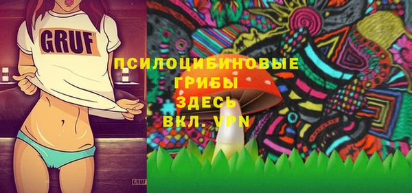 дживик Переславль-Залесский