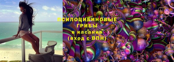 дживик Переславль-Залесский