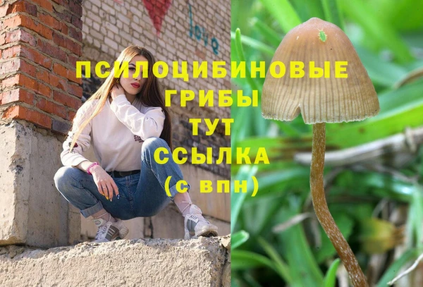 дживик Переславль-Залесский