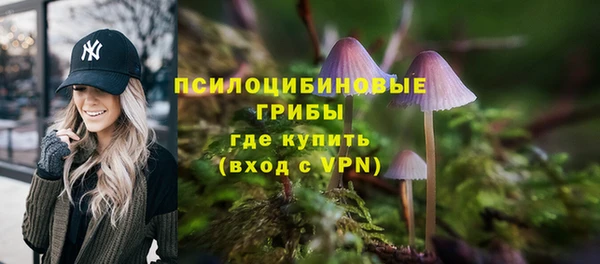 дживик Переславль-Залесский
