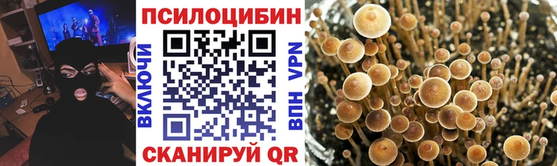 Псилоцибиновые грибы GOLDEN TEACHER  Абдулино 